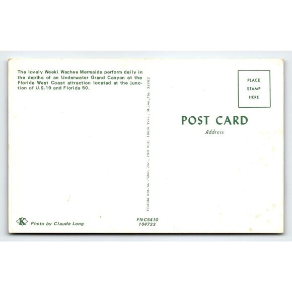 Weeki Wachee Florida Postcard Mermaids Women Pose Outside Chrome Green Swimsuits - Picture 2 of 2